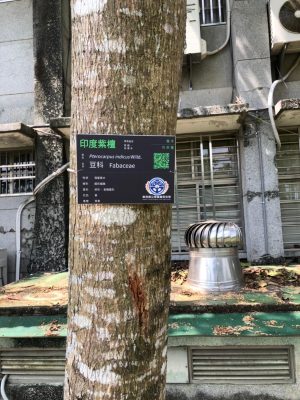 南崗國中-樹木解說牌